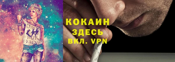 твердый Богородицк