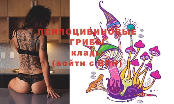 дживик Бронницы