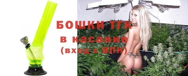 дживик Бронницы