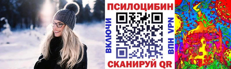 Галлюциногенные грибы Psilocybine cubensis купить наркоту Цивильск